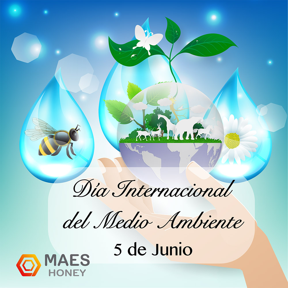 dia-internacional-medio-ambiente
