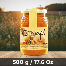 Bonapi miel tarro 500 g