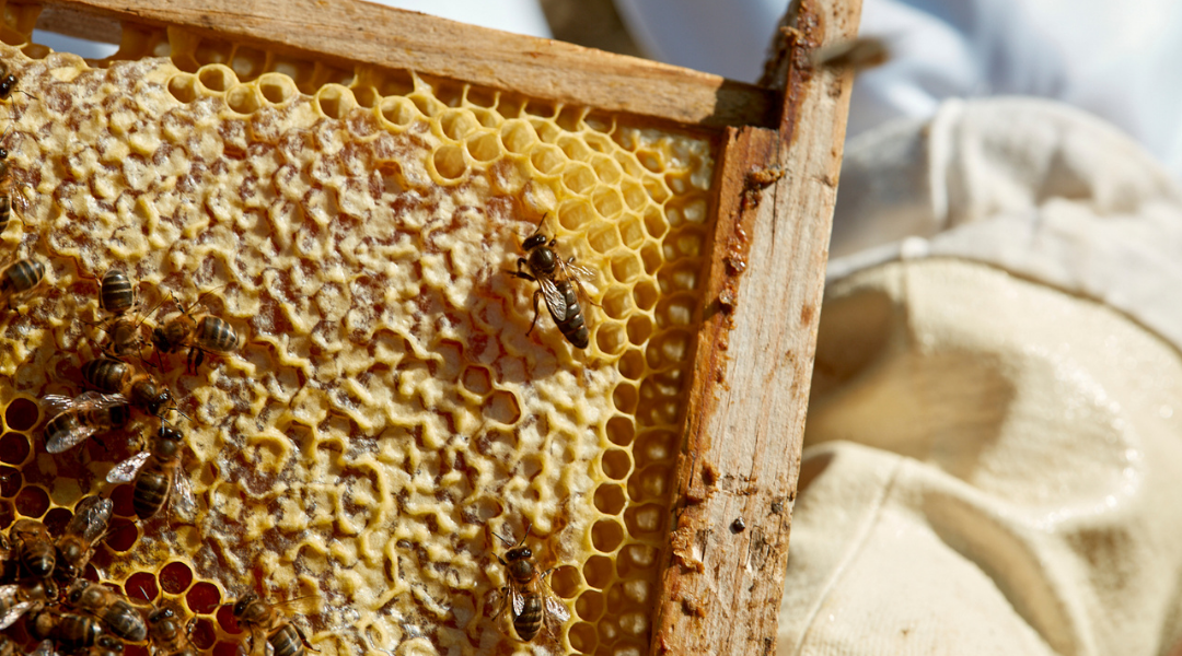 materiales de la apicultura